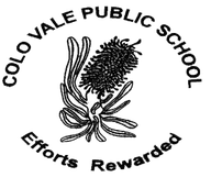 Colo Vale Public School logo