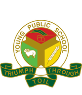 Young Public School logo