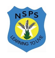 North Star Public School logo