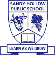 Sandy Hollow Public School logo