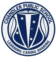 Chandler Public School logo