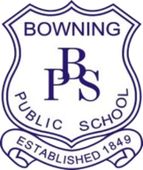 Bowning Public School logo