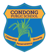 Condong Public School logo