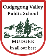 Cudgegong Valley Public School logo