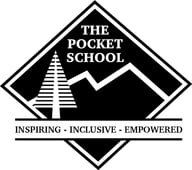 The Pocket Public School logo