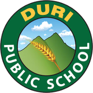 Duri Public School logo