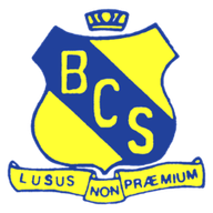 Binnaway Central School logo