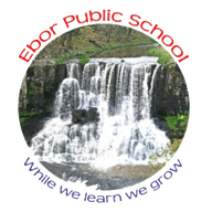 Ebor Public School logo