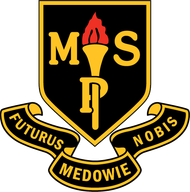 Medowie Public School logo