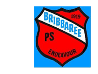 Bribbaree Public School logo