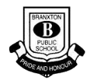 Branxton Public School logo