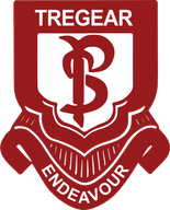 Tregear Public School logo