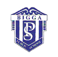 Bigga Public School logo